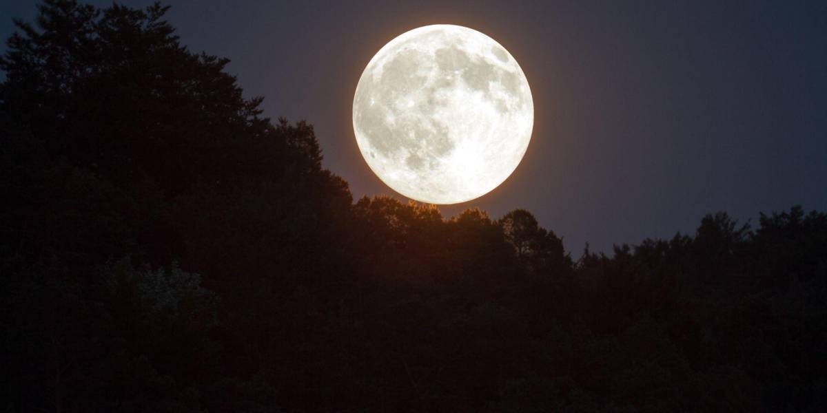 No Se Pierda La Oportunidad De Ver La Luna M S Brillante Del A O